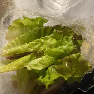 Wilted lettuce