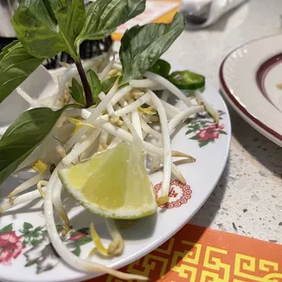 Pho garnishment for one