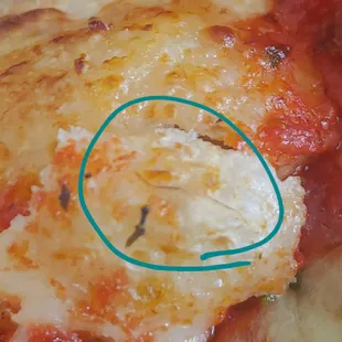 Don't know about you, but this is pretty clearly a hair.