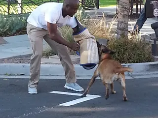 Chandler Rock The Block Party