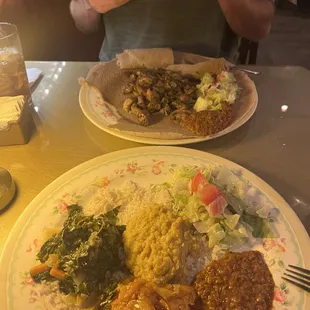Vegetarian combination &amp; Sheba tips