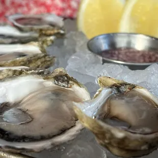 Oysters
