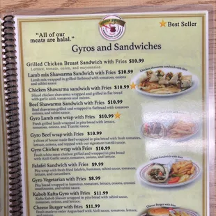 Gyro and Sandwiches