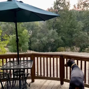 my room patio