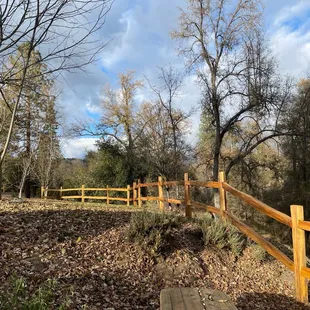 View beside the river
