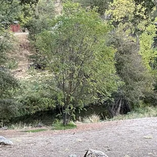 river