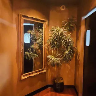 Plant corner
