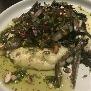 Halibut