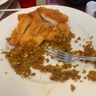 The rice was so cold and the chicken was fried hard. The food had no favor.