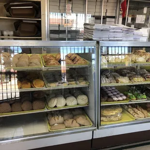 Bakery display case with lots of Pan Dulce!