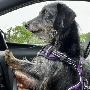 Billy couldn&apos;t wait to get to Quigley&apos;s!