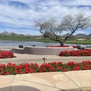 View from the patio at Quill Creek Cafe Grayhawk Golf Club