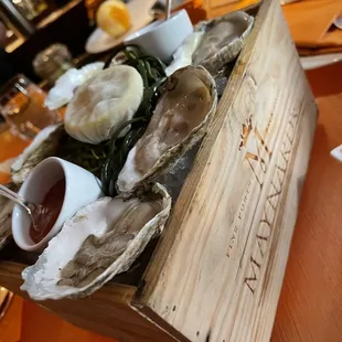 Oysters