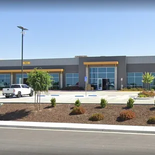 Quinn Cat - Bakersfield, CA