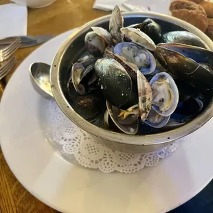 New England Clams