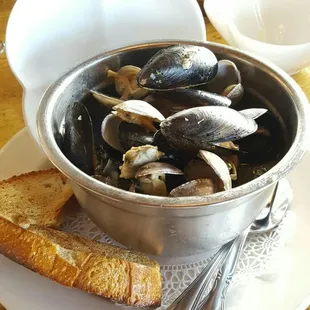 Bucket of Clams