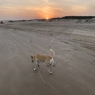 Mosquitos come at sunset be prepared