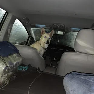 I drove all nite to get here! Well worth it