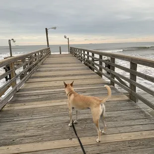 Another first for Jac. he loves it