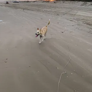 Jac loves this beautiful beach