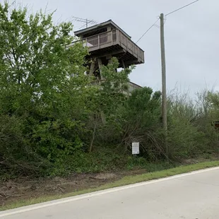 Up to the birds eye view of beach