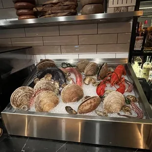 a display of fresh seafood