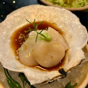 scallop crudo