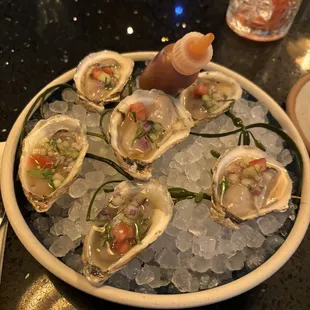 Oysters