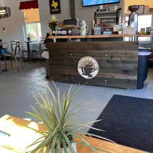 a plant in the foreground