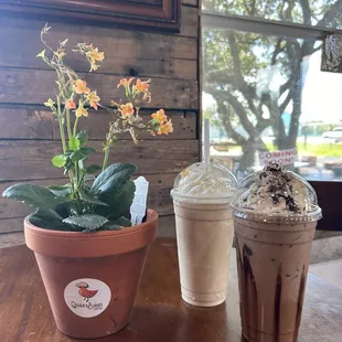 The Nuthatch &amp; Banana Cream Pie Latte