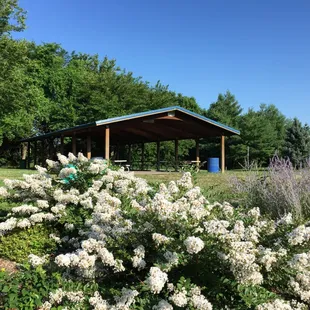 Reservable Picnic Shelter