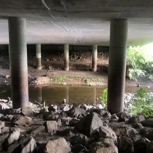 Under the bridge