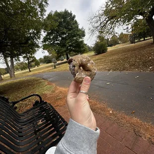 Blueberry cake donut