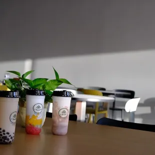 a row of plastic cups on a table