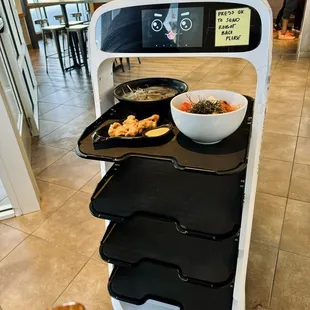 Robot delivering our food