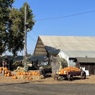 Pumpkins