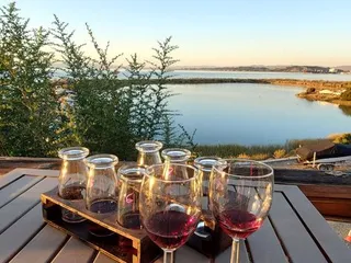 Four Fools Winery