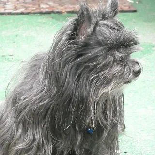 May W.