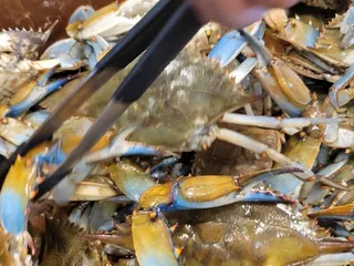 Crabs Express