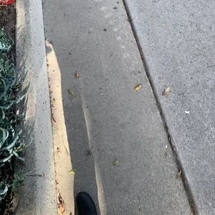 a person standing on a sidewalk