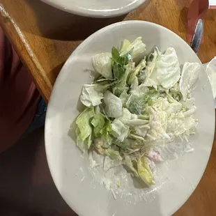 Huge salad that came as a side with homemade ranch.