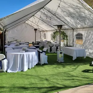 20x40 canopy w synthetic grass