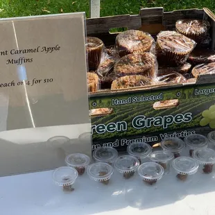 The samples are nice to see if you like them first (which you will) and then you can buy to your heart's desire!