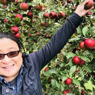 Look  I can reach it!