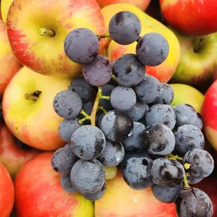 Concord  grapes a  honey crisps