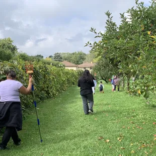 The children who joined us were especially excited to pick apples here!