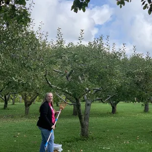 My co-worker about to pick an apple!