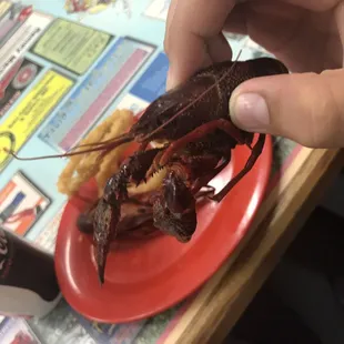 ribs, food, bbq ribs