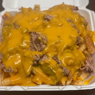 Pulled Pork Fries