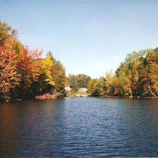 a view of the lake